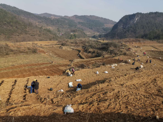 ��������������   ��˾���ַ�ؚ�����(du��)�ɲ��`483.png