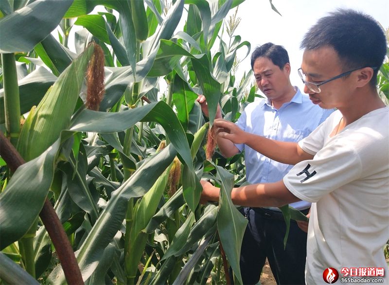 ճ���� (1).jpg