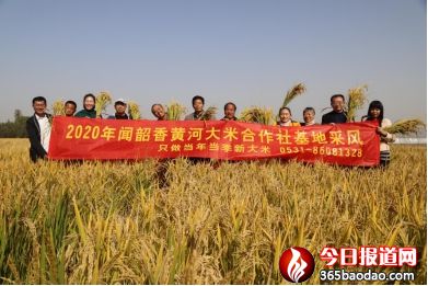 ǧ�����_  ��������&mdash;&mdash;2020�����������S�Ӵ��׺�������ز��L(f��ng)��(c��)ӛ1049_����.jpg