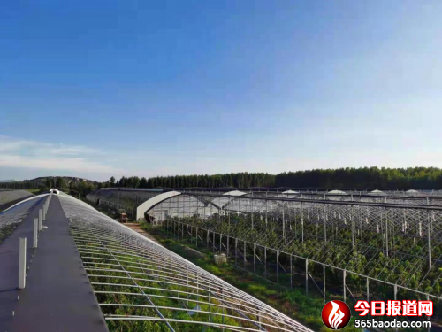 ɽ�ƌW(xu��)�������l(xi��ng)�����댍�� �����ഺ�۽��l(xi��ng)�����d�������A��֮��840.png