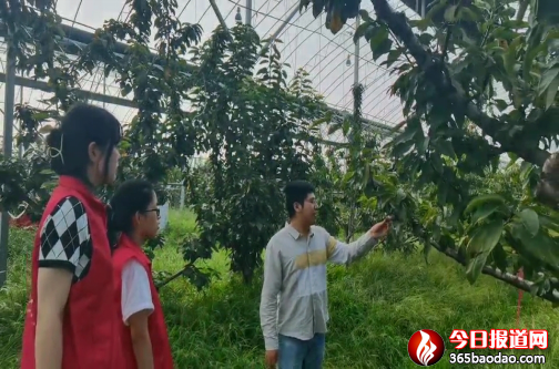 ɽ�ƌW(xu��)�������l(xi��ng)�����댍�� �����ഺ�۽��l(xi��ng)�����d�������A��֮��811.png