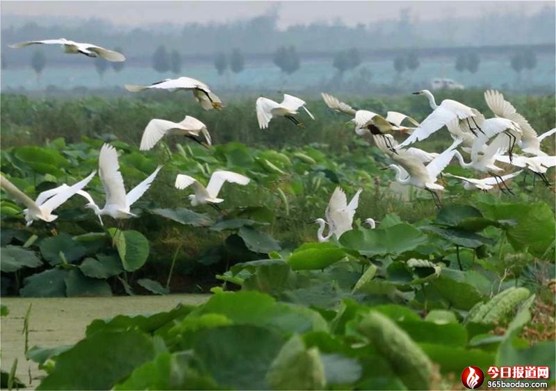 ����2 (1).jpg