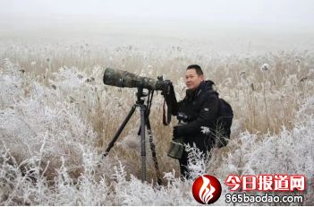 濕地王子——天津?yàn)I海北大港濕地里的守望者1285_副本.jpg